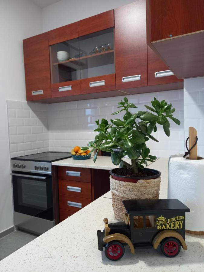 Avenija Oaza Apartamento Novi Sad Exterior foto